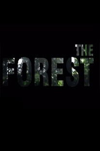 Скачать The Forest торрент